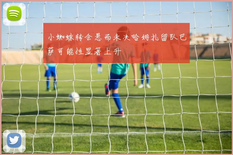 小蜘蛛转会悬而未决哈姆扎留队巴萨可能性显著上升